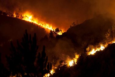 Amazon being burned - GaiaNet