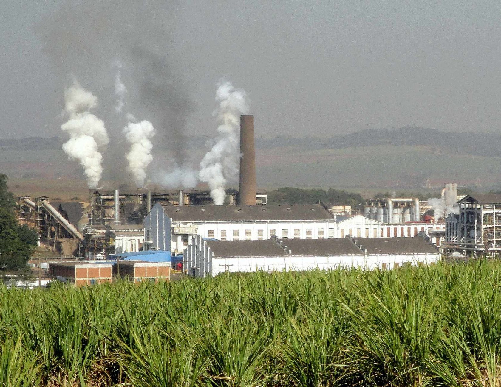 São Martinho plant, which produces sugar and ethanol in Pradópolis, São Paulo state - Wikipedia