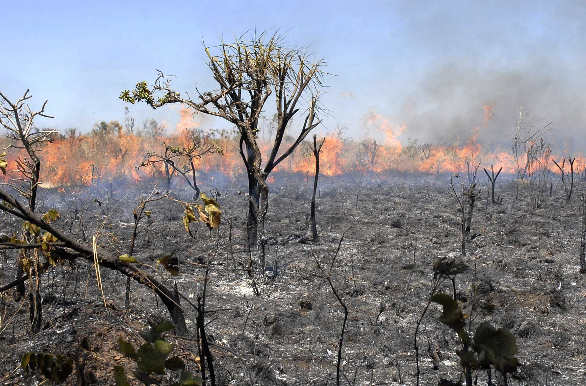 Fire it the cheapest and most common way of clearing land in the Amazon.