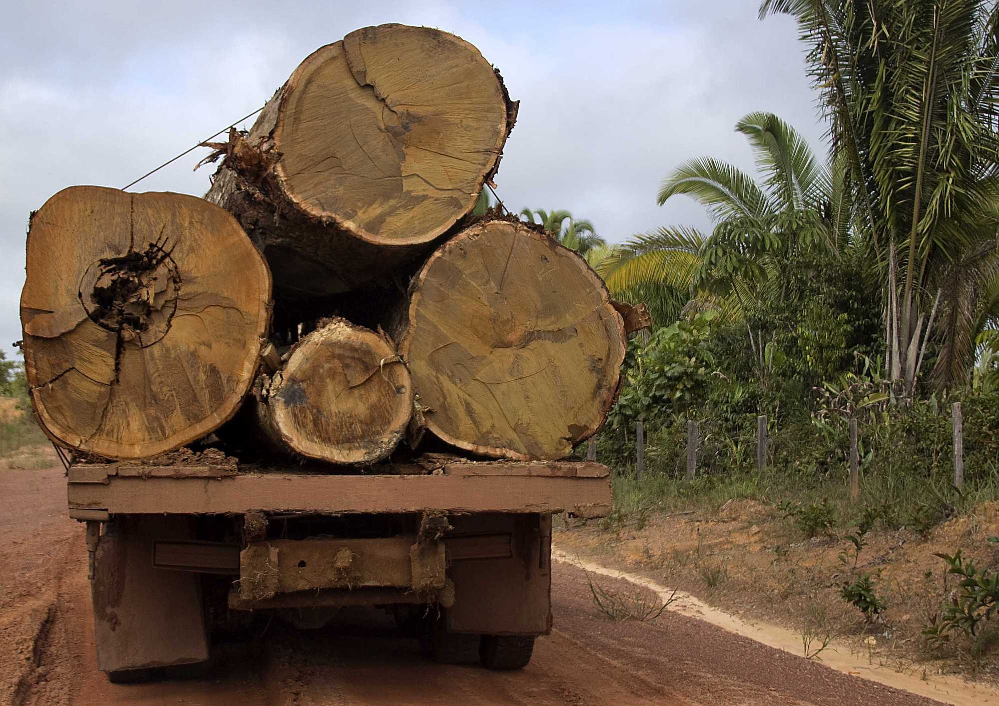 Tree trunks loaded on a truck in the Brazilian Amazon