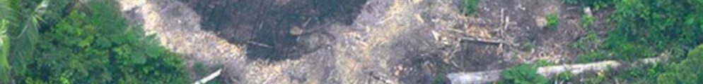 Burnt communal houses of uncontacted Indians could be signs of a massacre - © FUNAI