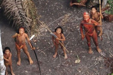 Aerial picture of uncontacted Amazonian tribe - FUNAI