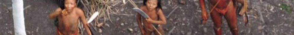 Aerial picture of uncontacted Amazonian tribe - FUNAI