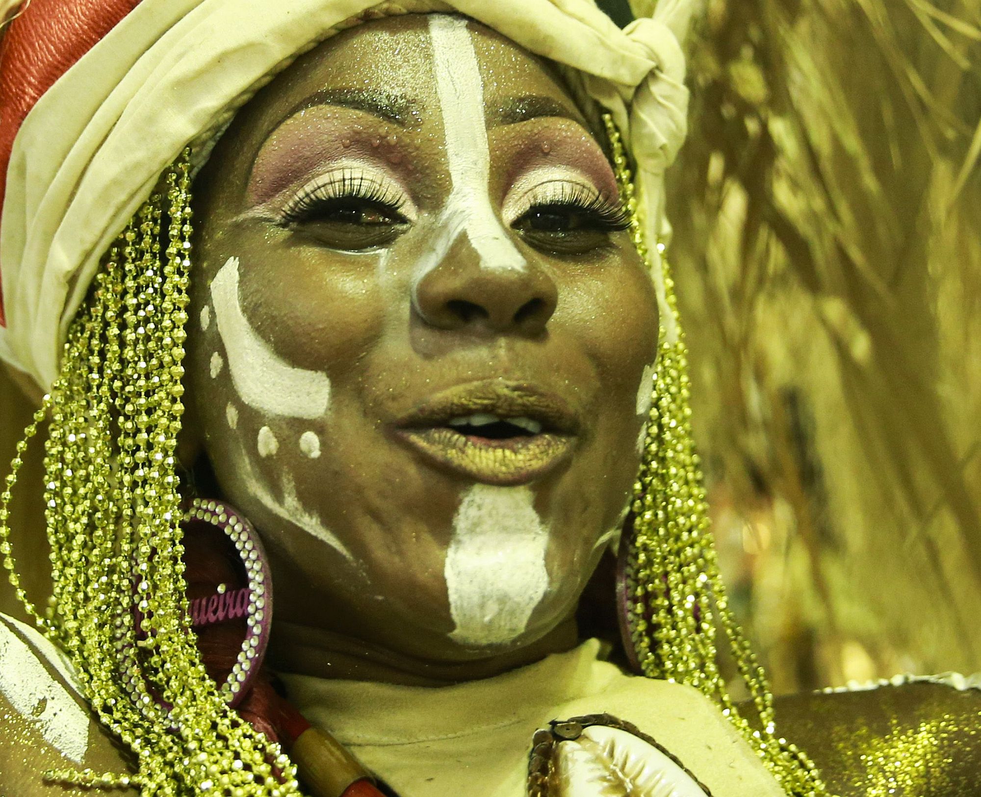 Samba school Mangueira, the champion of Rio's 2019 Carnaval - Tomaz Silva/ABr