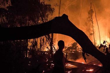 A fire in a deforested area in Amazonas state, Brazil. Image by Bruno Kelly/Amazônia Real