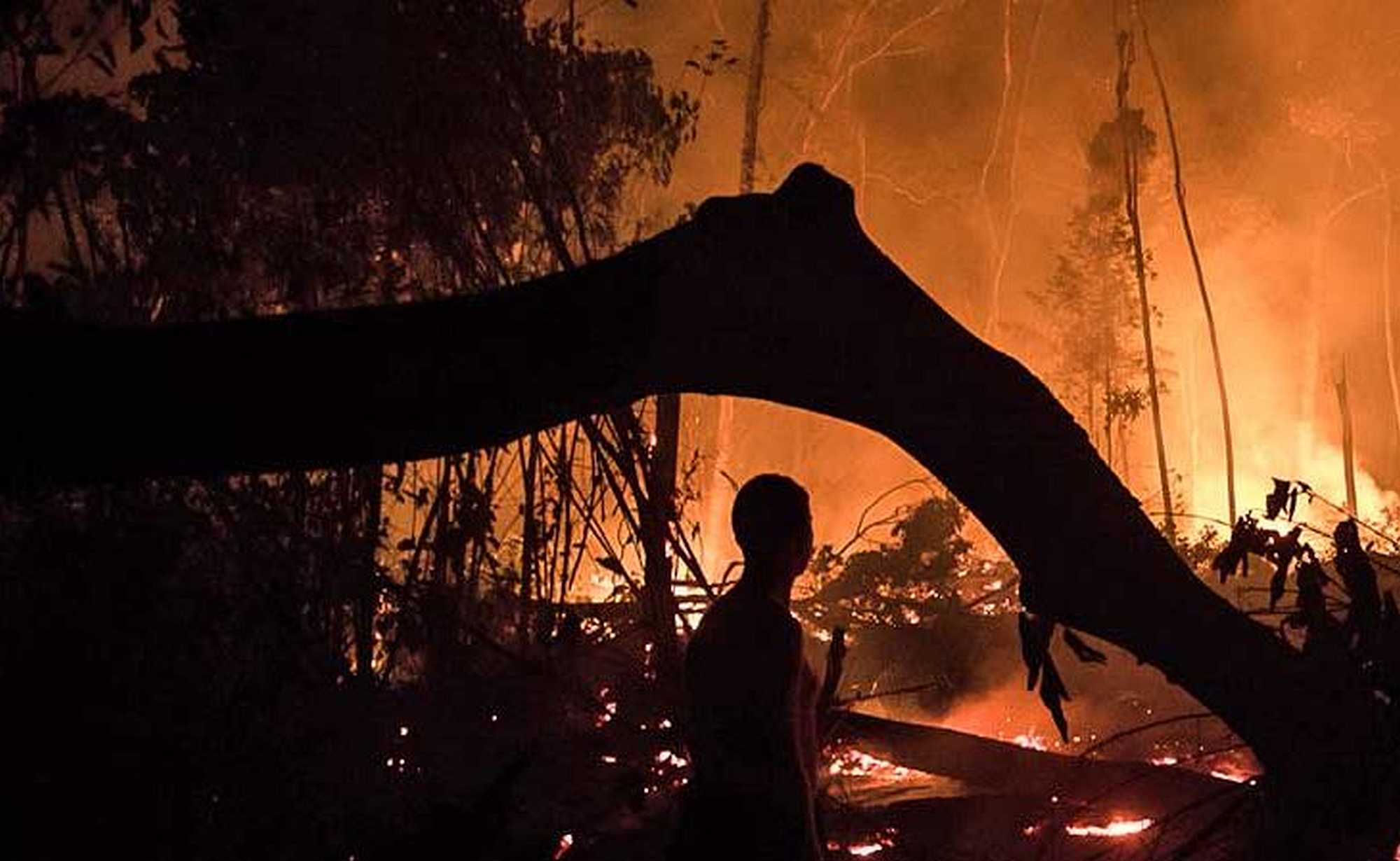 A fire in a deforested area in Amazonas state, Brazil. Image by Bruno Kelly/Amazônia Real