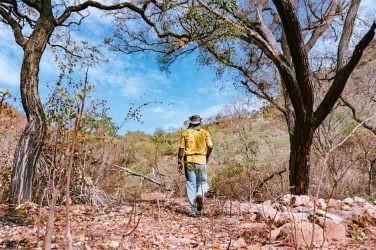At first glance, the Cerrado looks barren. But the savanna boasts important aquifers and provides major carbon storage. Andressa Zumpano / Action Aid.