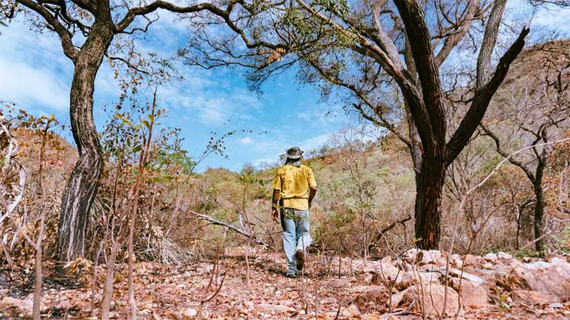 At first glance, the Cerrado looks barren. But the savanna boasts important aquifers and provides major carbon storage. Andressa Zumpano / Action Aid.