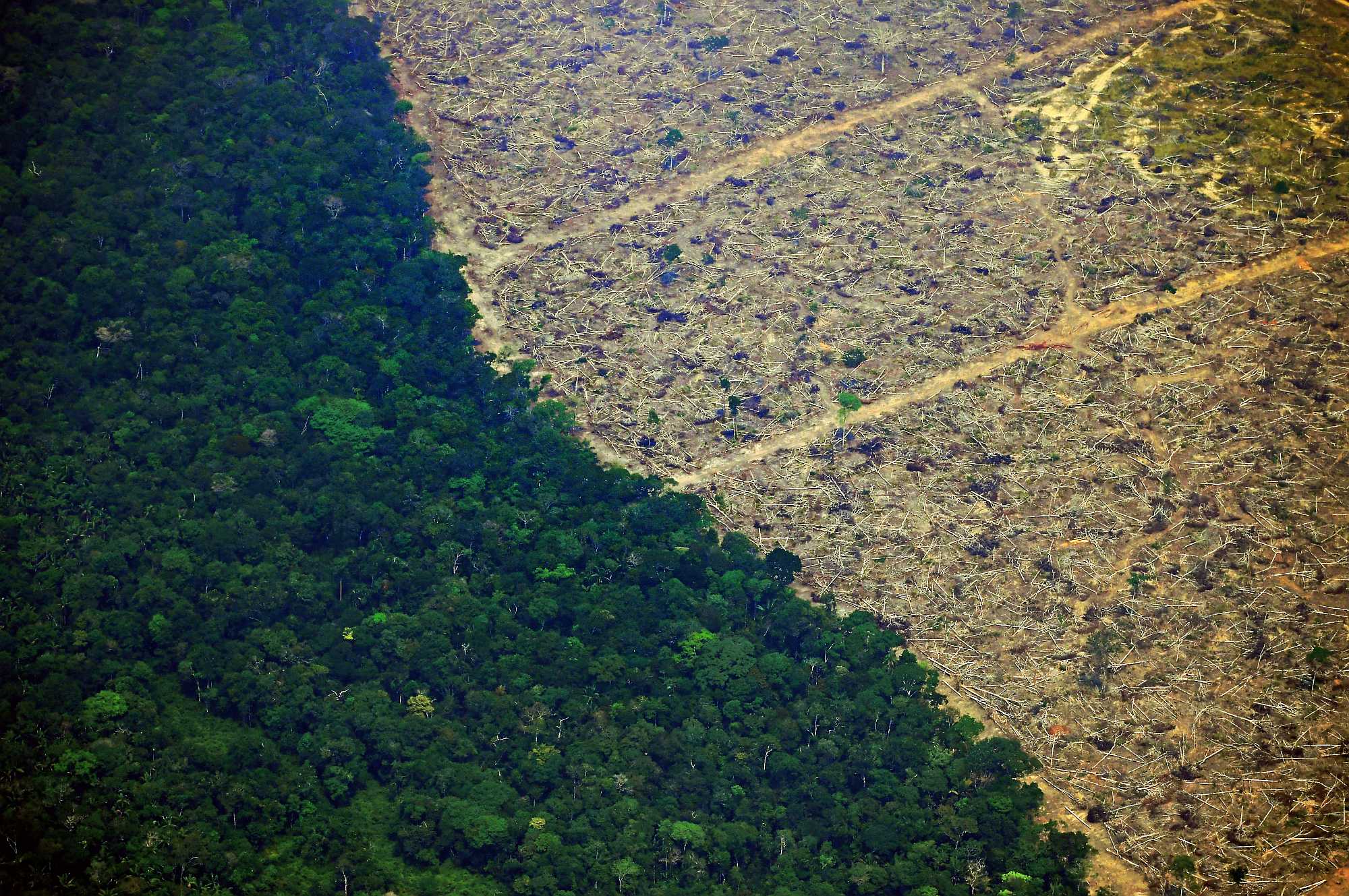 A deforested piece of land in the Amazon rainforest near Porto Velho, in the state of Rondônia. Carl De SouzaA/FP via Getty Images