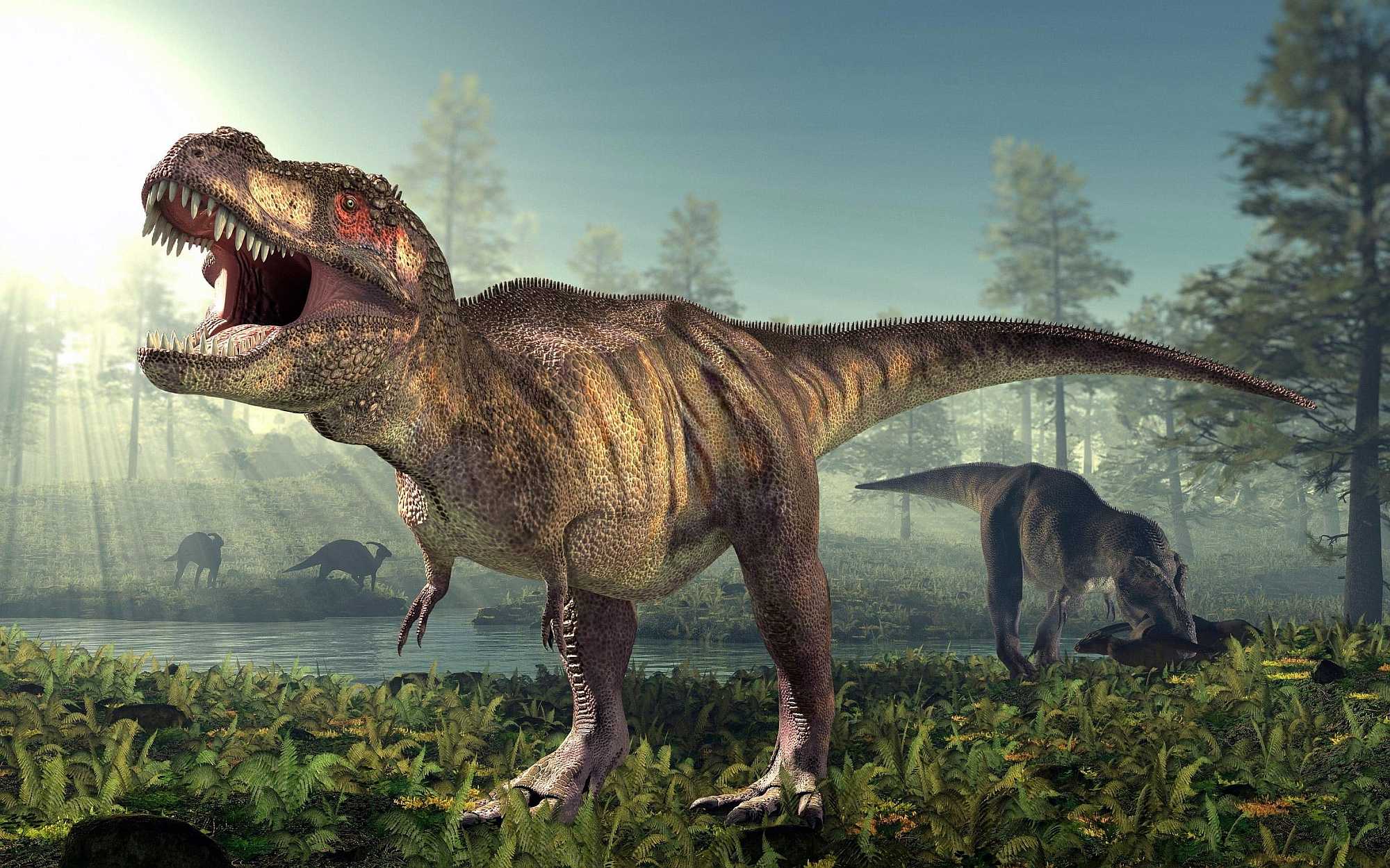 Tyrannosaurus rex spanned all of ancient North America, and about 20,000 lived at once. 1Ado123/Wikimedia Commons, CC BY-SA