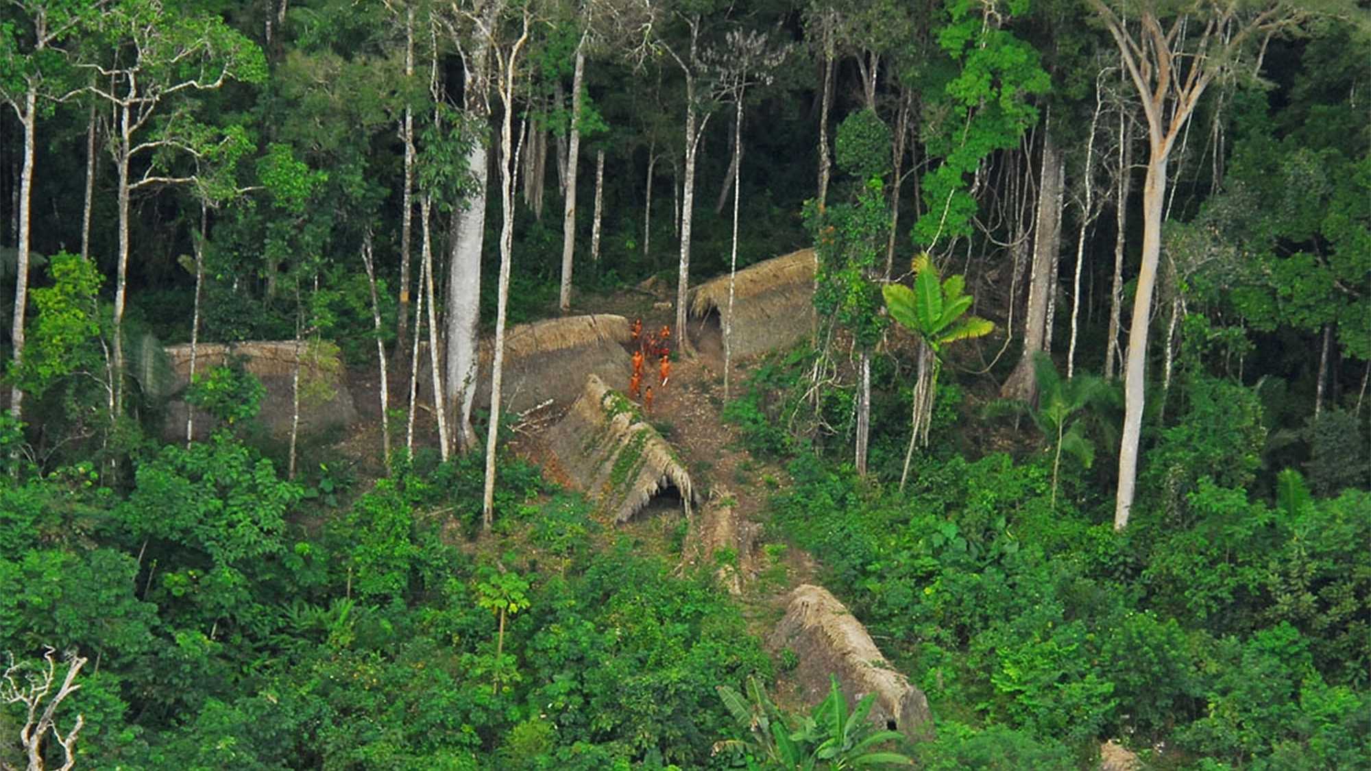 Uncontacted Indigenous community in the Brazilian state of Acre. Image by Gleilson Miranda / Wikimedia Commons (CC BY 2.0).