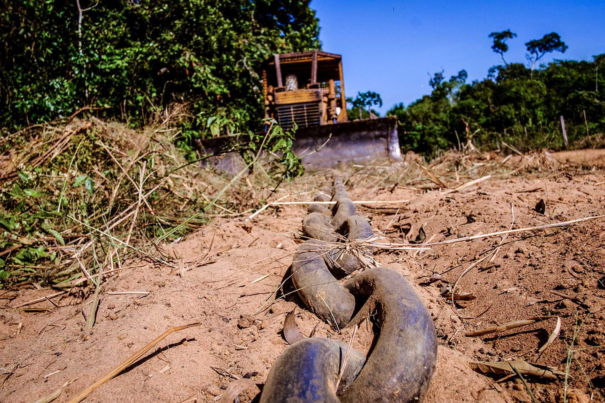 Land grabs put the rainforest at risk by increasing deforestation in the Brazilian Amazon.
