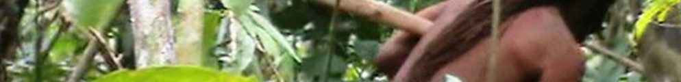 A still from a FUNAI video of The Man of the Hole, filmed during a government monitoring mission