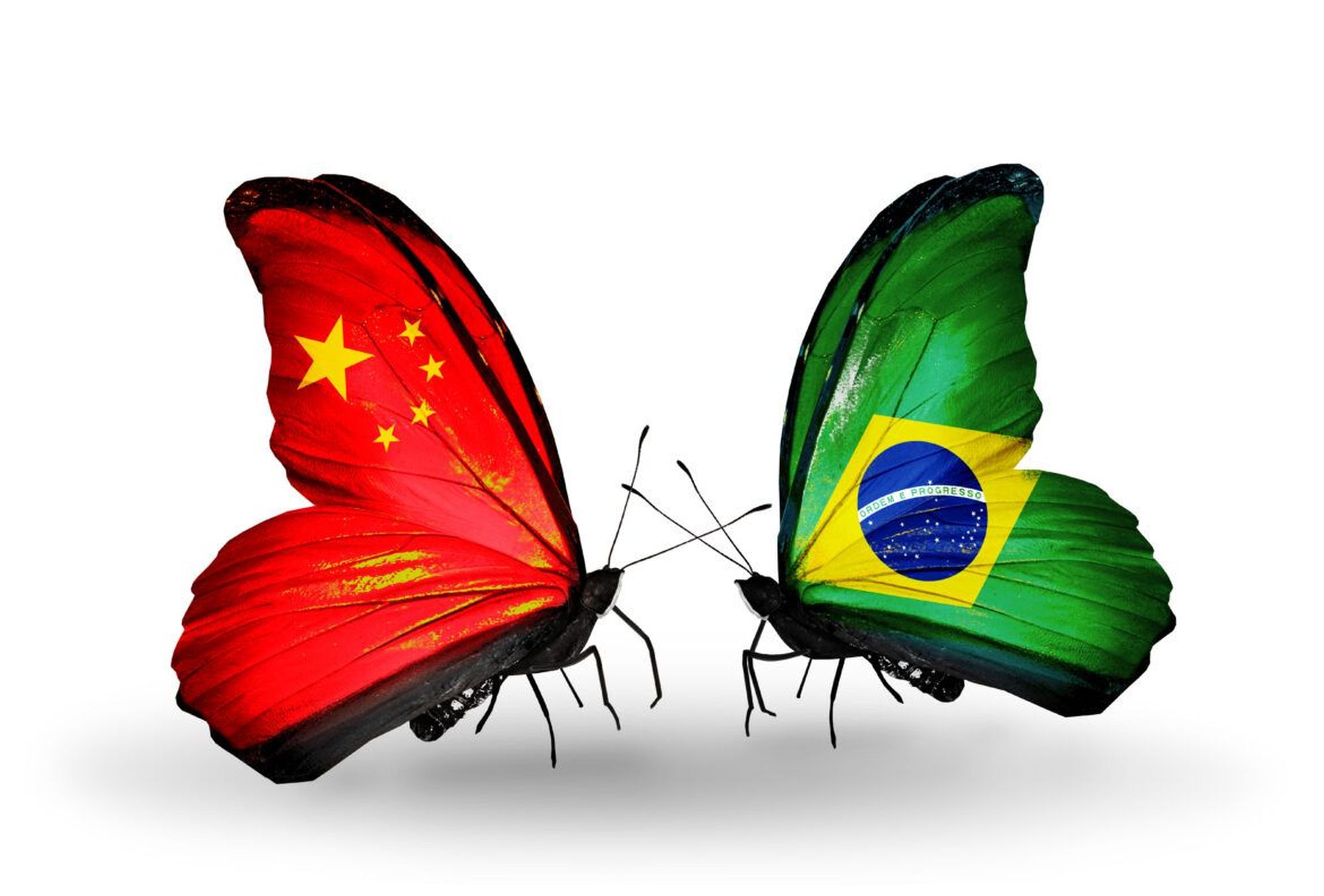 China is seeking more access to Brazilian agriculture