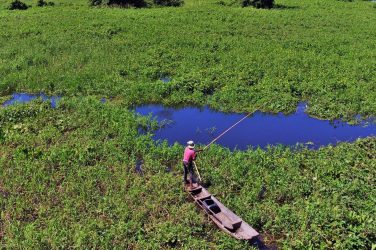 Pantanal fisherman. WALDECk SOUZA/Shutterstock