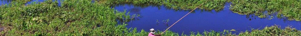 Pantanal fisherman. WALDECk SOUZA/Shutterstock