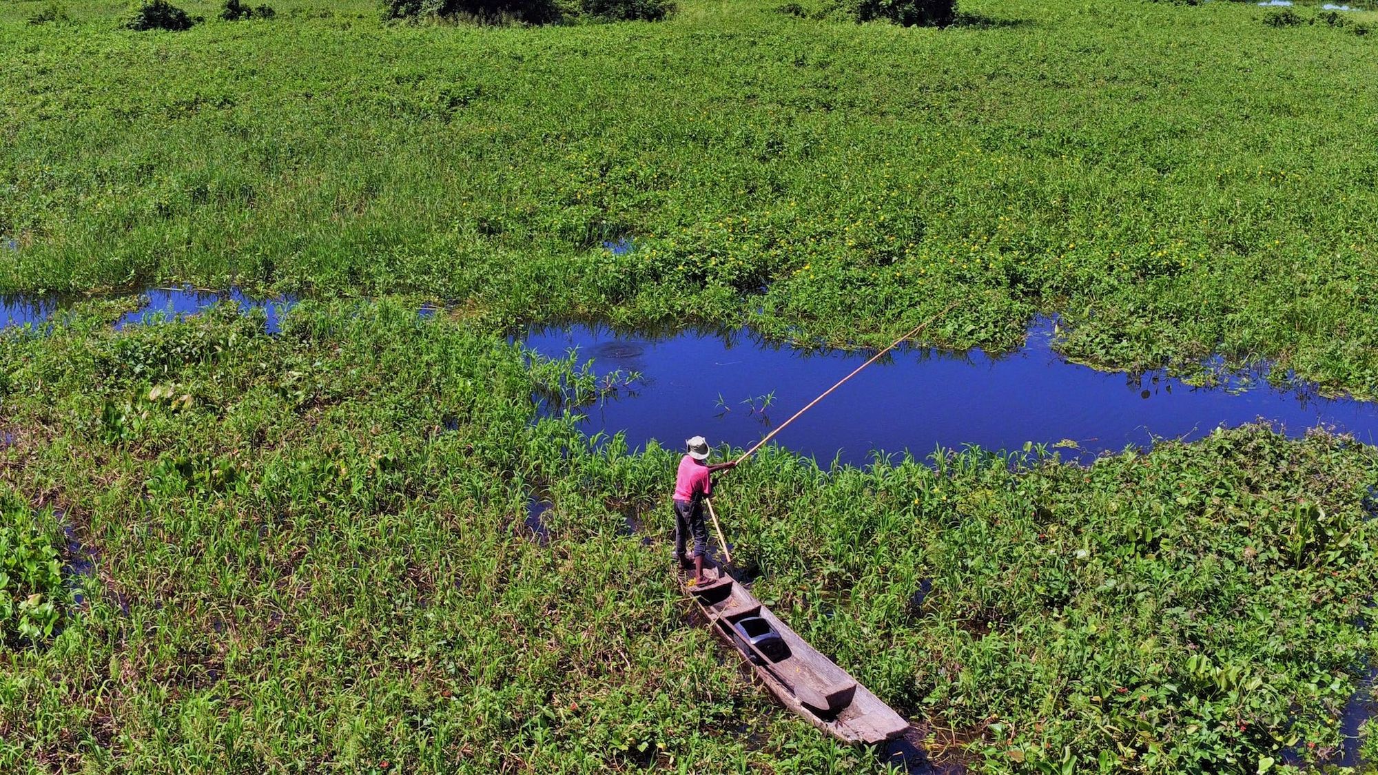 Pantanal fisherman. WALDECk SOUZA/Shutterstock