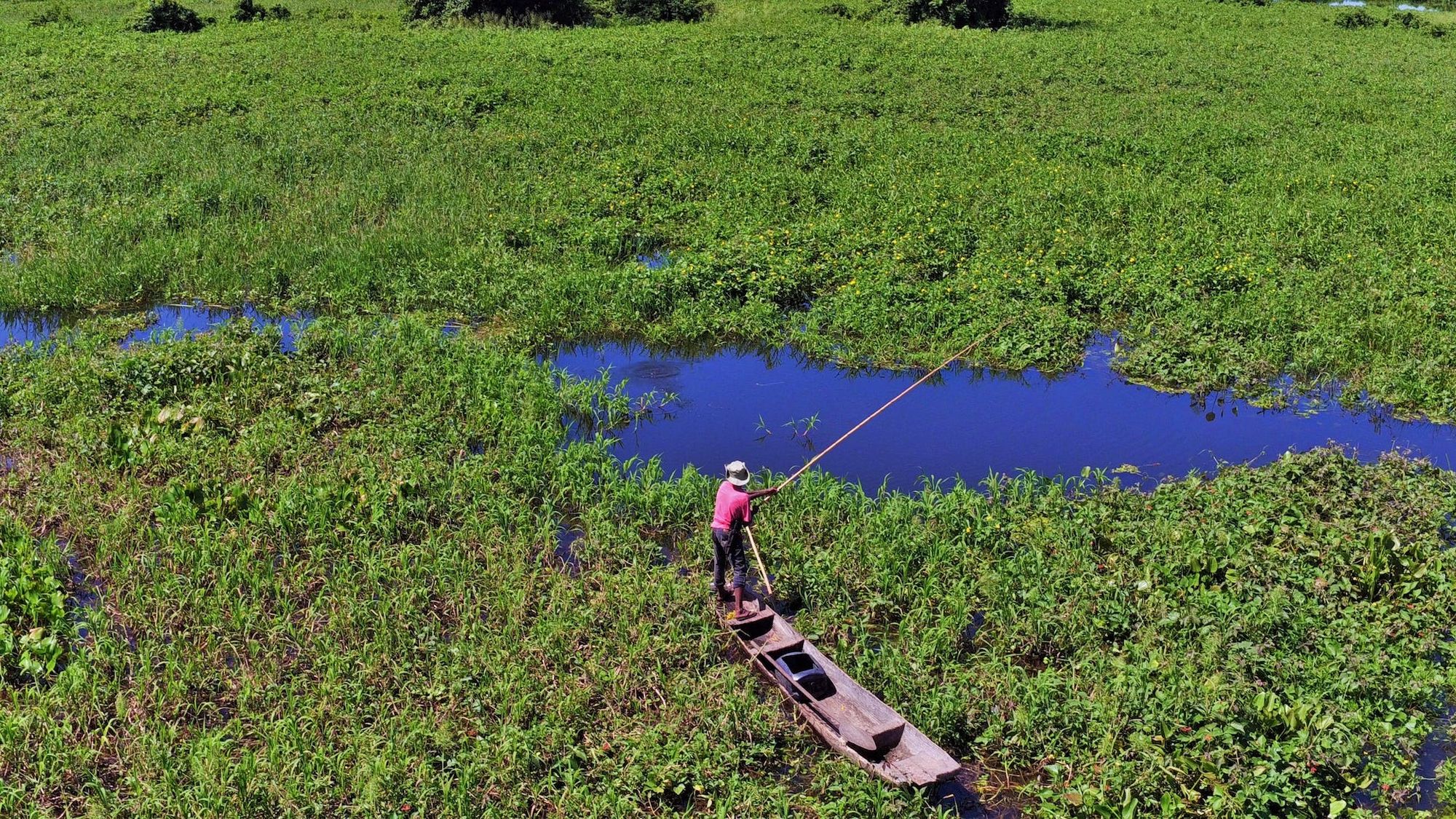 Pantanal fisherman. WALDECk SOUZA/Shutterstock