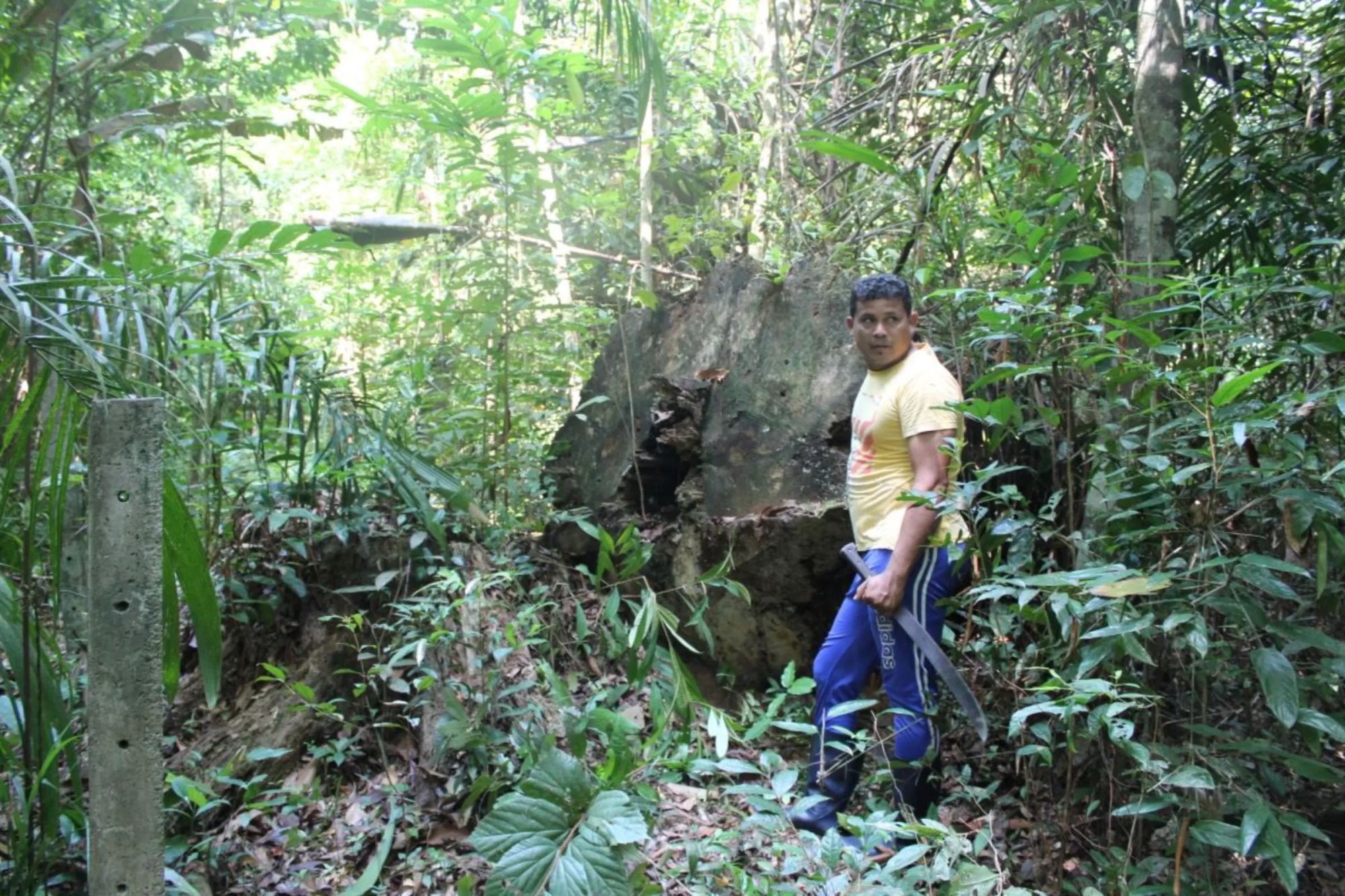 Fisherman Dil Maiko Marinho stands by a felled tree in an area claimed by Cargill in Xingu Island, Brazil. Photo taken August 12, 2023. Thomson Reuters Foundation /André Cabette Fábio