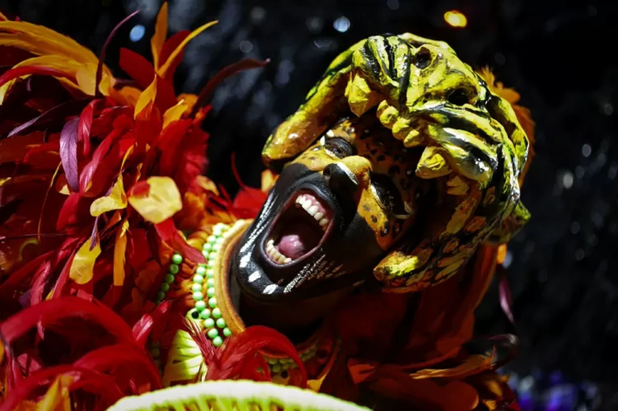 The storyline of Grande Rio escola de samba was "Our destiny is to be jaguar"