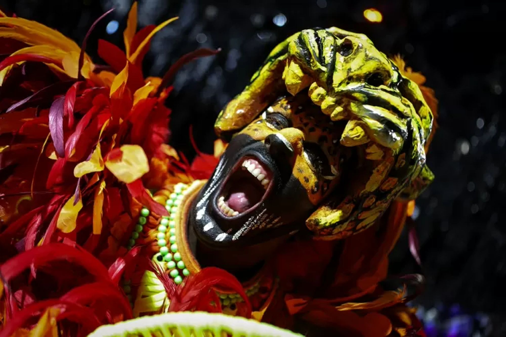 The storyline of Grande Rio escola de samba was "Our destiny is to be jaguar"