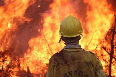 Firefighter works to control fire in the Brazilian Amazon