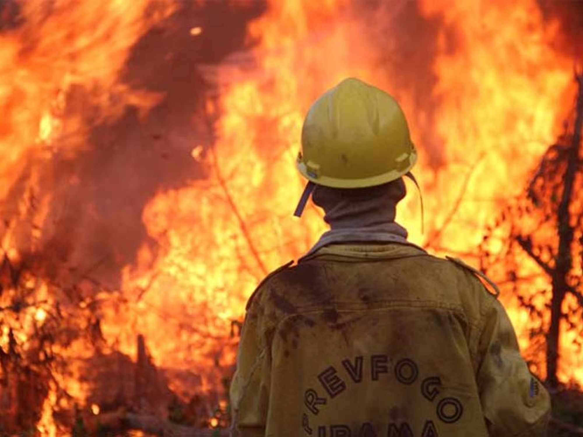 Firefighter works to control fire in the Brazilian Amazon
