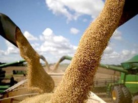 Soy, one of the food commodities Brazil is world's leading exporter