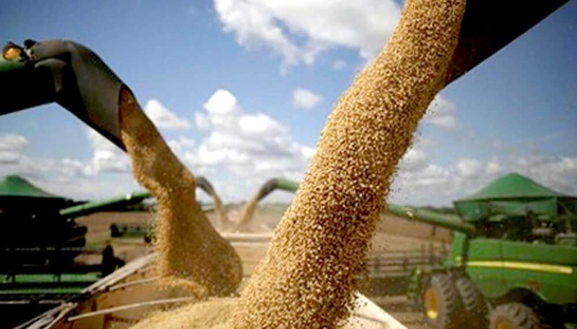 Soy, one of the food commodities Brazil is world's leading exporter