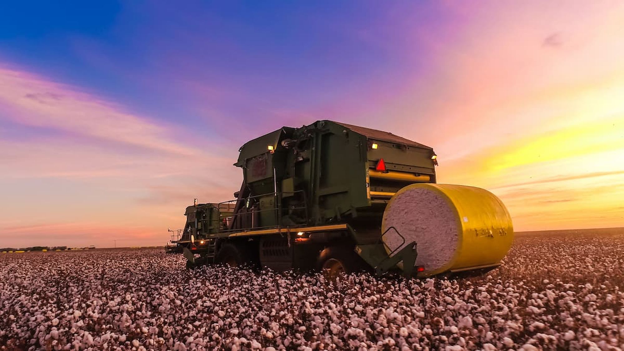 A cotton field in Brazil