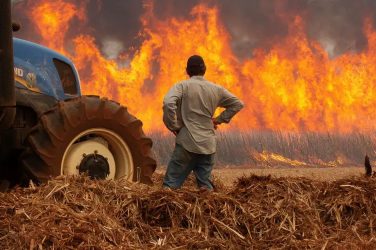 A man watches a fire in a sugar cane plantation near Dumon city, Brazil