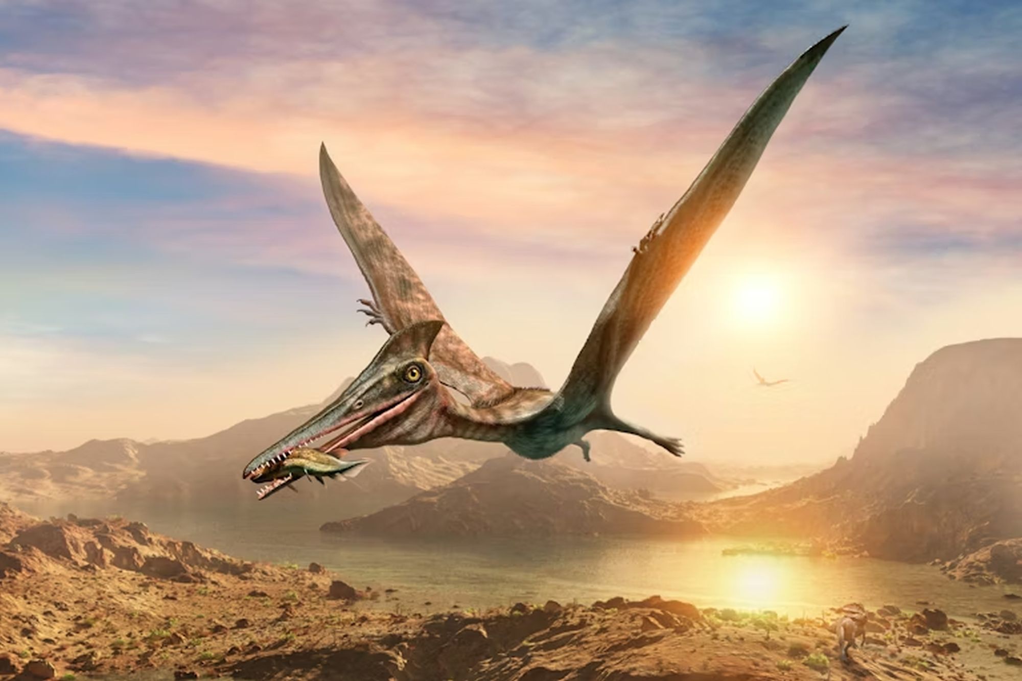 The Unusual Story of a Pterosaur Found in Brazil That Was Really a Fish
